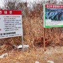 12.은수사거리 B Daum카페