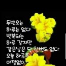 구평동-27 이미지