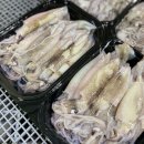 한치로1 이미지