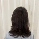 강서구 염창역 미용실 26도헤어 염창역점, 뿌리염색, 레이어드컷(재연 디렉터) 솔직후기
