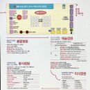 문화 비상-5호 | 2025 영등포 여의도 윤중로 벚꽃길 축제 주차 촬영 드론 행사 기간 정보