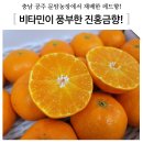 문암농장 이미지