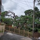 구포당산 경로당 이미지