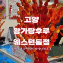 [일산 탕후루] 왕가 탕후루 웨스턴돔점, 귤 탕후루와 블랙사파이어 탕후루