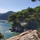 해당화펜션민박 이미지