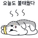 더플라스틱클라이밍 이미지