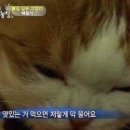 10月시월