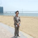 섬바우 이미지
