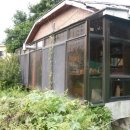 신산리-1 이미지