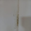 제일오투그란데 경로당 | 전주청소업체 전주시 완주군 봉동 제일오투그란데 이사청소 후기