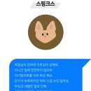 고양이 별 이미지