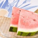 빛고을카 이미지