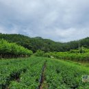 우보공인중개사사무소 이미지