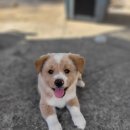 (주)쏘미 이미지