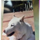 방어진고등학교 이미지