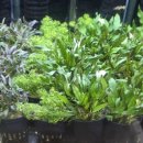 고래의꿈 수족관 이미지