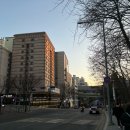 백운라바 이미지