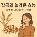디딜방아 | 백미·현미·잡곡, 도정이 만든 차이- 쌀의 역사와 영양, 한눈에 정리