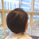 찌꼬뽀꼬 마곡나루2호점 | 마곡나루 미용실 여자 뿌리펌 숏단발 일오트헤어 마곡나루2호점