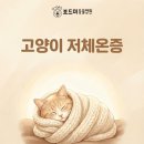 왜관동물병원 이미지