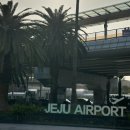 대평오리 | [제주]제주여행 게스트하우스 기대이하 내돈내산 숙박후기