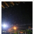 단양마중 이미지