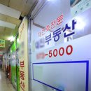 최강부동산중개사무소 이미지