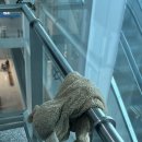 (유)동화주유소 | 엄마랑 방콕에 다녀왔습니다 1