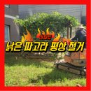 신각길1 | 안산 아파트 낡은 파고라 평상 철거, 완벽 작업!