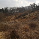 효촌1리마을회관 이미지