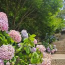 미황사 화장실 | 달마산 최단코스 후기, 해남 미황사 코스