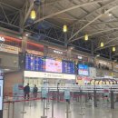 대만 타이베이 여행 항공 후기 | 타이거항공 김해-타이베이 + 타오위안공항 T1·T2 이동법 총정리