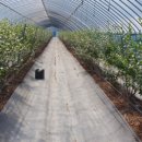 박광순농장 이미지