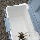 남해아라힐펜션 이미지