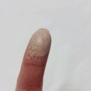 제로디펙트
