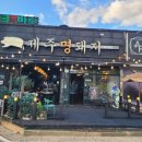 제주명돼지 | 조치원맛집 제주명돼지 조치원점에서 백돼지 먹은 후기