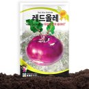 비씨200