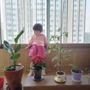 군포화원 - 군포시 군포로 532 | 군포화원