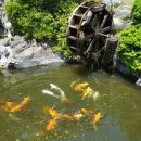 해맞이농장 이미지