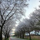 경북대학교 수의과대학 부속동물병원(분원) 네이버블로그