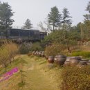 두메향기