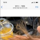 차캄헤어 이미지