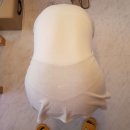 닥터 펠리체 짐 이미지