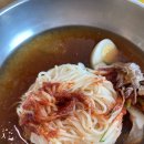 부산뚜벅이여행 3탄- 인생밀면을 찾다 그리고 해동용궁사