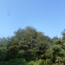 완산-140 이미지