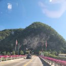 정든 캠핑장 | 🏕️ 영월 정든캠핑장에서 즐긴 완벽한 먹방 캠핑! 7월 여름 힐링 여행기