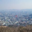 푸른솔고시텔