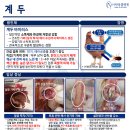 다란동물병원 이미지