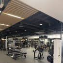 강남휘트니스 | 강남역 헬스장 추천｜서초동·뱅뱅사거리 헬스장 ‘휴메이크휘트니스 강남점’ 후기 💪