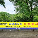 사나사(중간,약수터 앞) | 서울근교 계곡 양평 사나사계곡 추천